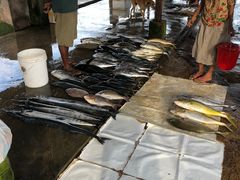 -尼甘布海鲜市场