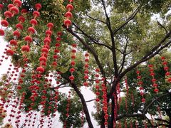 -常州古运河南大街文化旅游区-人民公园