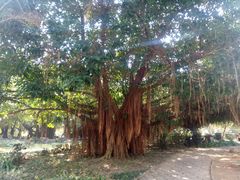 -北海市海滨公园