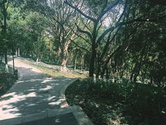 -龙头寺公园