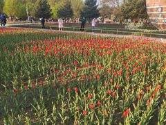 -长春公园(普阳街道)