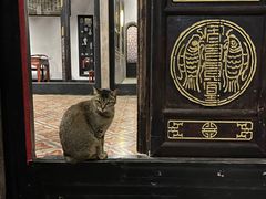 -吴祥记潮州菜·百年老字号·砂锅粥