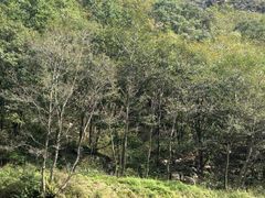 -大连冰峪旅游度假区