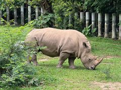-深圳野生动物园