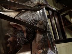 -马街老字号罗非鱼庄(昙华寺店)