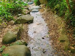 -火炉山森林公园