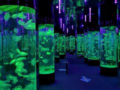 -成都浩海立方海洋公园