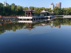 -莲花池公园