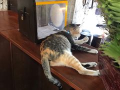 -圣佩德罗堡