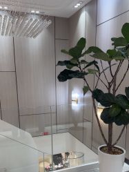 -智美品质医美