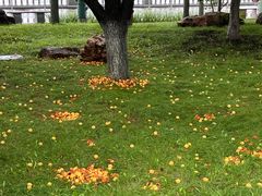 -长春世界雕塑园