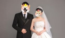 -保定巴黎婚纱摄影