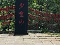-嵩山少林文化旅游景区