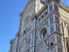 -圣母百花大教堂穹顶