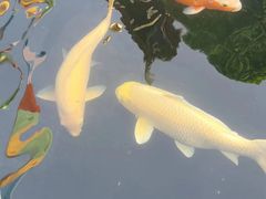 -西安市广仁寺