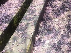 -东林大峡谷