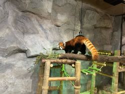 -Zoolung Zoolung动物主题公园(海信广场店)