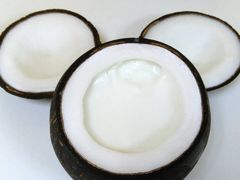 -志龙皇冠吃货椰子铺