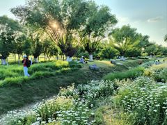 -汉长安城未央宫国家考古遗址公园