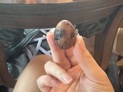 -豫园湖心亭茶楼