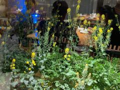-黄山老妈·土菜(碧桂园店)