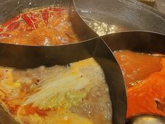 -朱光玉火锅馆(正弘城店)