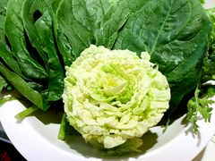 -密友回转自助火锅(世茂国际广场店)