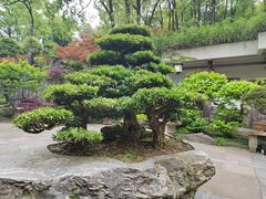 -南山植物园