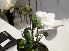 -宝岛眼镜(北京亚运村旗舰店)