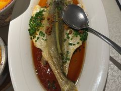 -维园悦谱·海派家常菜(乌鲁木齐南路店)