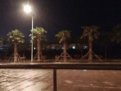 -亚龙湾站