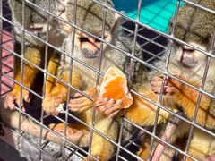 -水上乐园·欢乐世界