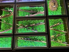-彩虹之约•淮扬家宴(亚运村店)