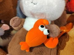 -KKV(上海月星环球港主力店)