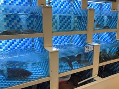-野渡坡·极致湘菜·庭院餐厅(汉阳店)