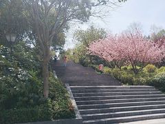 -南京市无想山景区