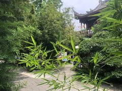 -香园自助小火锅