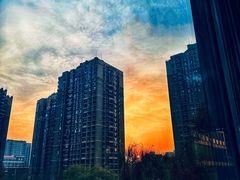 -极斗-IKMF马伽术·格斗运动学院(东直门店)