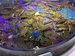 -澜悦港海鲜体验主题餐厅