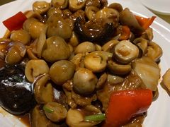 -龙记烧腊茶餐厅(常德路店)