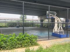 -白鹭湾湿地公园