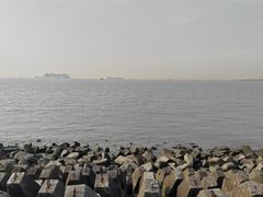 -上海滨江森林公园