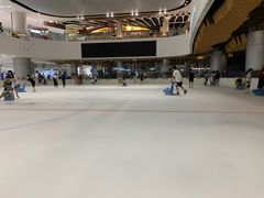 -TheRink大零溜冰场(IFS国金中心店)
