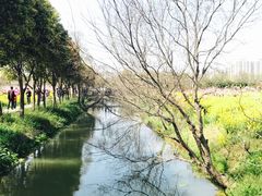 -南汇桃花村