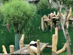 -沈阳森林动物园