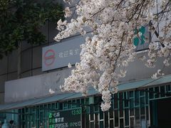 -上海南浦大桥长途旅游客运站