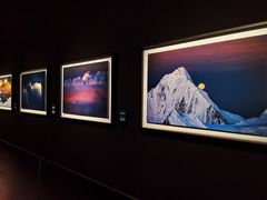 -罗红摄影艺术馆