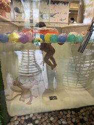 点击看大图 -保丽宝泰母婴护理院·月子中心·产康·中医(常州店)