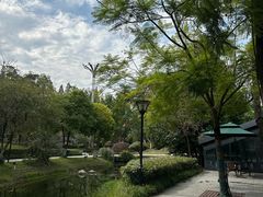 -成飞公园