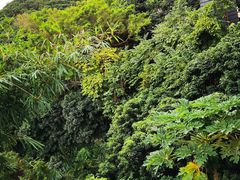 -鲤鱼塘农家山庄